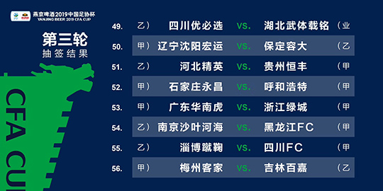 2024新澳资料免费大全一肖,整体规划执行讲解_限量版21.28