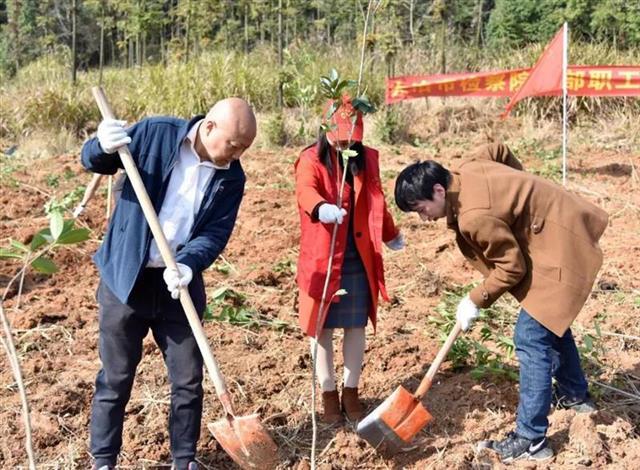 大冶金湖最新规划图，生态与经济和谐共生新篇章