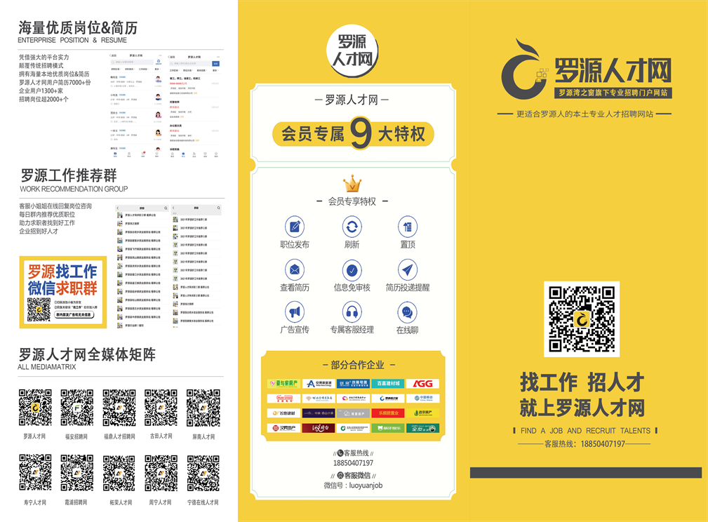 罗源湾招聘网最新招聘动态深度解析与解读