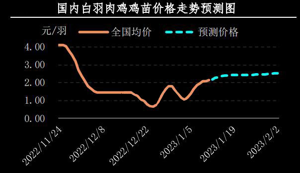 四川鸡价格最新行情解析